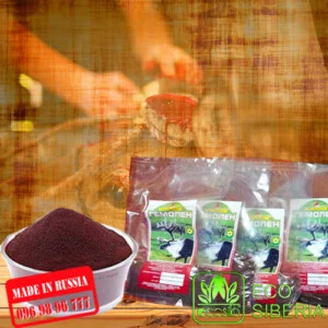 Công Ty TNHH ECO SIBERIA Việt Nam