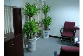 Công Ty TNHH Kiến Trúc Phong Cảnh Hoàng Hoa