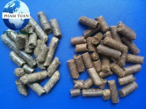 Nguyên Liệu Thức Ăn Chăn Nuôi Phạm Tuấn – Công Ty TNHH Thương Mại Dịch Vụ Xuất Nhập Khẩu Phạm Tuấn