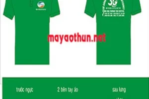 Diệt Côn Trùng Hit Pest Việt Nam – Công Ty TNHH Hit Pest Việt Nam
