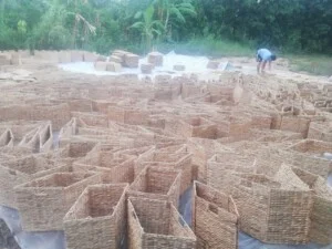 Công Ty TNHH Xuất Nhập Khẩu Kana