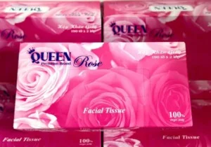 Queen Paper – Công Ty TNHH Vũ Gia HDP
