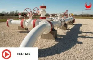Công Ty TNHH Vật Liệu Vinasanfu