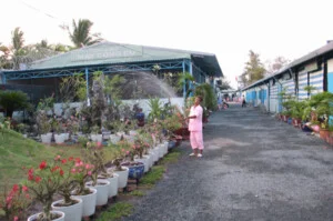 Thanh Đa – Công Ty TNHH Điều Dưỡng Và Cai Nghiện Ma Túy Thanh Đa