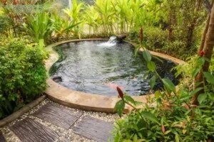 Thiết Kế Thi Công Sân Vườn Hồ Cá Koi – Công Ty Kiến Trúc Cảnh Quan Sân Vườn Xanh