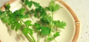 Hoàng Huy Food – Công Ty TNHH Hoàng Huy Sài Gòn Food