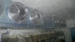 Cơ Điện Lạnh Thịnh Phát – Công Ty TNHH TMDV Cơ Điện Lạnh Công Nghiệp Thịnh Phát