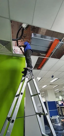 Điện Máy Cát Tường – Công Ty TNHH Điện Máy Cát Tường