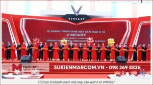 Công Ty TNHH Truyền Thông Tiếp Thị Quốc Tế Marcom