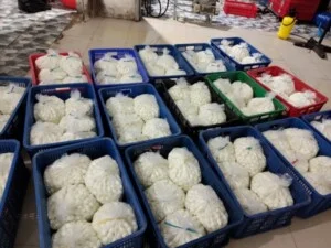 Công Ty TNHH Thương Mại Dịch Vụ Mai Khôi Nguyên