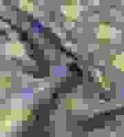 Công Ty TNHH Thương Mại Và Sản Xuất Đông Hương