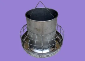 Thiết Bị Chăn Nuôi Hòa Ninh – Công Ty TNHH Cơ Điện Hòa Ninh