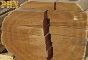 Gỗ Teak Phan Huỳnh Nguyễn – Công Ty TNHH Xuất Nhập Khẩu Phan Huỳnh Nguyễn