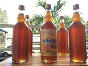 Mật Ong Sơn Lâm – Cơ Sở Sản Xuất Mật Ong Sơn Lâm