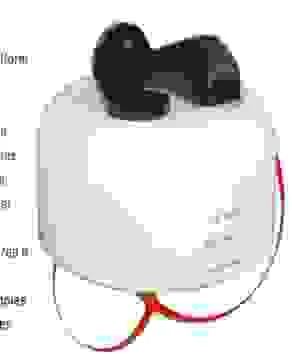 Công Ty Cổ Phần Tư Vấn Môi Trường Xây Dựng Và Thương Mại GREEN