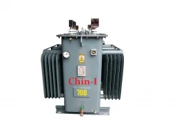 Công Ty TNHH SX TM Chin-I Cẩm Tỷ