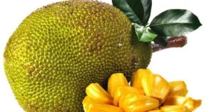 Nông Sản Vạn Phước – Siêu Thị Vạn Phước