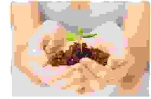 Kiểm Định Hành Tiêu Dùng CTT – Công Ty TNHH Kỹ Thuật Kiểm Định Hàng Tiêu Dùng