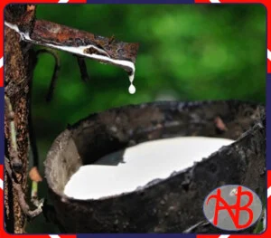 Cao Su Hoàng Vũ Ninh Bình – Công Ty TNHH Một Thành Viên Sản Xuất Và Thương Mại Hoàng Vũ Ninh Bình