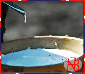 Cao Su Hoàng Vũ Ninh Bình – Công Ty TNHH Một Thành Viên Sản Xuất Và Thương Mại Hoàng Vũ Ninh Bình