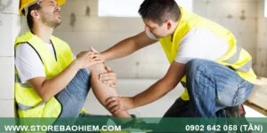 Bảo Hiểm MIC – Công Ty Bảo Hiểm MIC Đông Sài Gòn