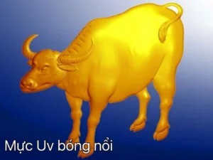 Công Ty TNHH Thương Mại Liên Hợp Nam Bắc