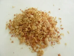 Công Ty TNHH SXTM Năng Lượng Xanh DB