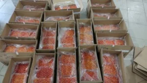 Công Ty TNHH Thương Mại Dịch Vụ Mai Khôi Nguyên