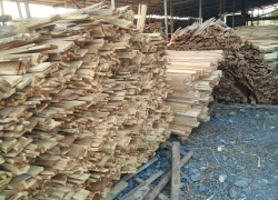 Pallet Kim Ngọc Minh Phát – Công Ty TNHH MTV Kim Ngọc Minh Phát