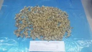 Công Ty TNHH Thực Phẩm Thuận Phong Phát