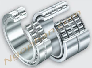 Công Ty TNHH Dịch Vụ Kỹ Thuật Ngô Phan