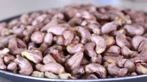 Công Ty TNHH Sản Xuất Thương Mại Dịch Vụ Xuất Nhập Khẩu Le Garden