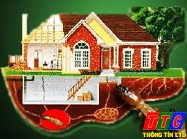 Thông Tín – Công Ty TNHH Tư Vấn Thương Mại Dịch Vụ Thông Tín
