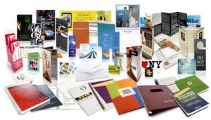 Công Ty TNHH Một Thành Viên Kiến Ngân