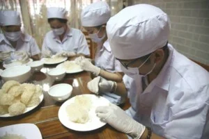 Công Ty TNHH MTV Yến Hoàng Phi