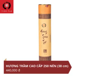 Công Ty Cổ Phần Trúc Lâm Quán Tuệ