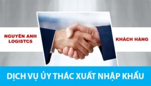 Vận Tải Biển Nguyên Anh – Công Ty TNHH Thương Mại Quốc Tế Nguyên Anh