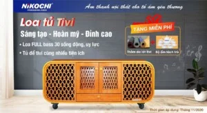 Công Ty TNHH Điện Tử Nikochi Việt Nam