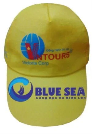 Công Ty TNHH Thương Mại Dịch Vụ Blue Sea