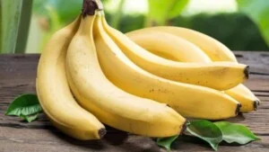 Nông Sản Hoa Quả Thành Nam – Công Ty Cổ Phần Nông Sản Thực Phẩm Thành Nam