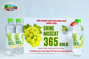 Nước Khoáng Chanh Muối – Công Ty TNHH 1 Thành Viên Nước Khoáng Công Đoàn Quang Hanh