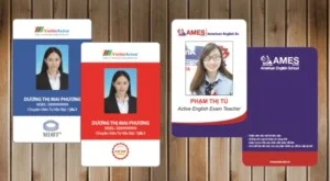 NetCard – Công Ty TNHH MTV Thiết Bị Kỹ Thuật Vinaso