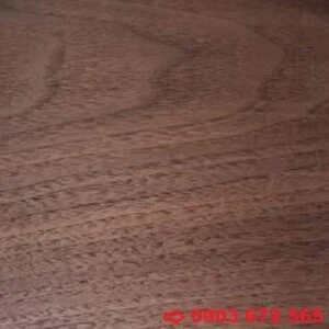 Công Ty Trách Nhiệm Hữu Hạn O & O