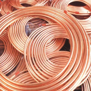 Công Ty TNHH Thương Mại Dịch Vụ Xuất Nhập Khẩu Duy An
