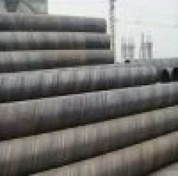 Công Ty TNHH Xuất Nhập Khẩu Và Thương Mại Tân Thái Bình