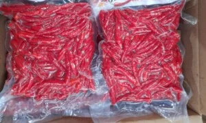 Nông Sản Gia Vị DACE – Công Ty TNHH Phát Triển Nông Nghiệp Và Tư Vấn Môi Trường (DACE)