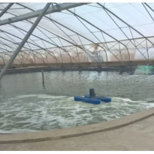 Chế Tạo Máy Móc R.A.I – Công Ty TNHH Thiết Bị Công Nghệ R.A.I