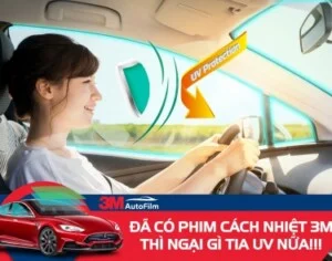 Phim Cách Nhiệt Nhà Xanh – Công Ty TNHH Phim Cách Nhiệt Và Trang Trí Nhà Xanh