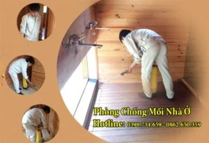 Diệt Mối Minh Long – Công Ty TNHH Thương Mại Dịch Vụ Trừ Mối Và Côn Trùng Minh Long