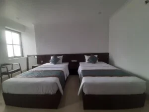 Công Ty TNHH Đầu Tư Và Sản Xuất Tùng Hạc